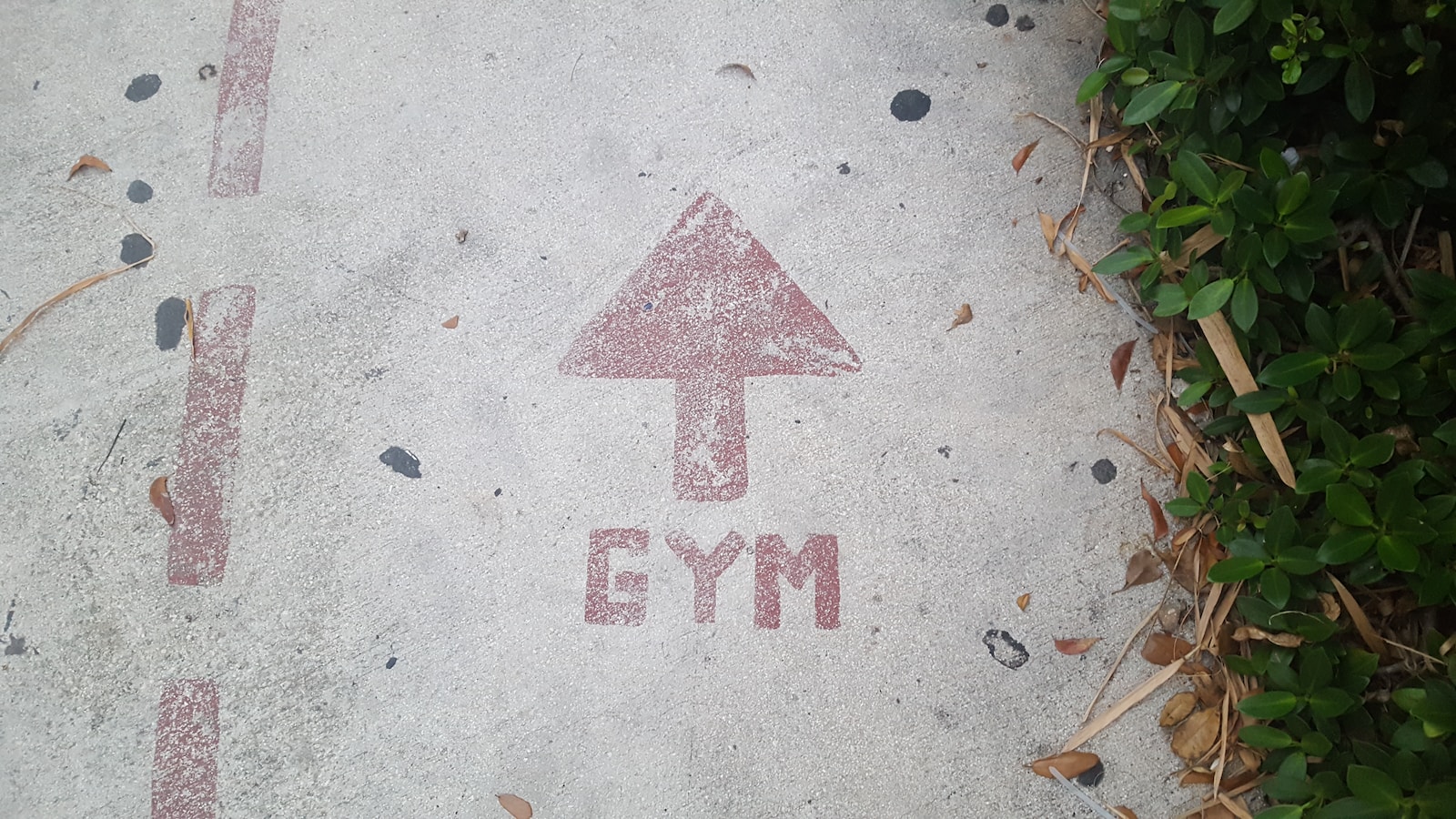 gym road signage